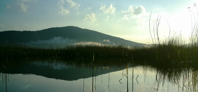 Mirna vodna površina z odsevom trstičja in hriba v ozadju, obkrožena z visokimi stebli trstičja; nad obzorjem je svetlo nebo z nekaj oblaki. Pred hribom se dvigajo meglice.