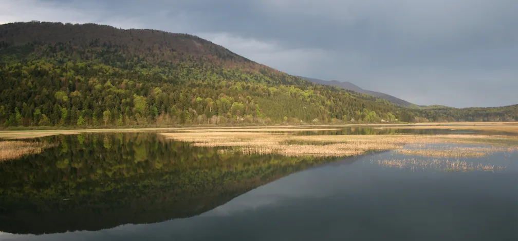 Mirno jezero z odsevom gozdnate gore v ozadju, ob obali so vidne suhe trstičje, nad pokrajino pa se razprostira oblačno nebo.