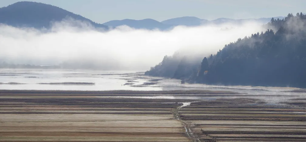 Panoramski pogled na Cerkniško jezero, s širokimi polji v ospredju, meglenimi plastmi nad delno zalitimi površinami na sredini in temnim gozdnatim hribom na desni strani; v ozadju se dvigajo mehko obrobljeni hribi.
