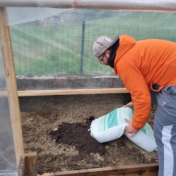 Moški v oranžni jakni v notranjosti rastlinjaka razsipa kompost iz velike vreče na pripravljeno gredo.