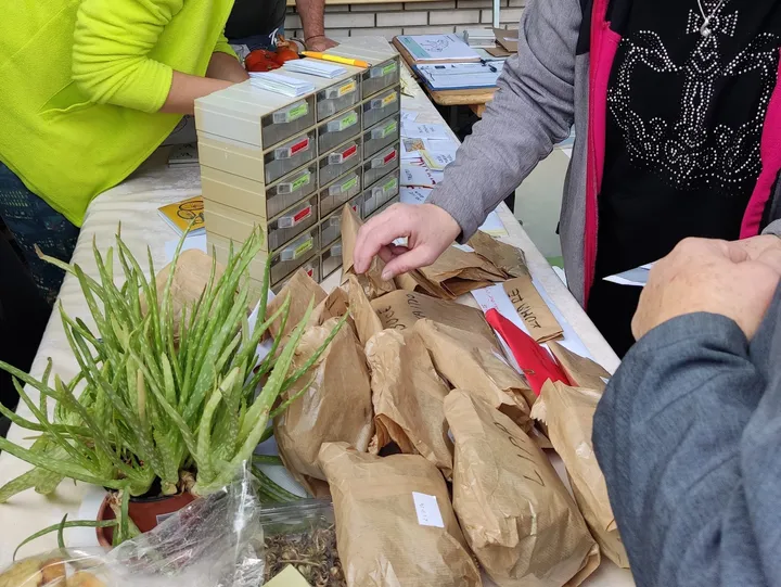 Na mizi so razstavljeni rjavi papirnati paketi, lonček z alojo vero in škatlice izdelkov, medtem ko več oseb s svojimi rokami pregleduje ponujene izdelke