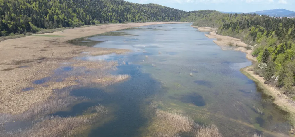Zračni posnetek pokrajine s podolgovatim jezerom s plitvo, čisto vodo, v kateri se zrcali nebo. Na levi strani jezera so vidna suha, rjavkasta trstišča in močvirnati deli, medtem ko desno obalo in hribe v ozadju prekriva gost zeleni gozd.