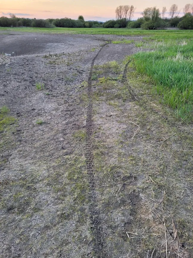 Sledi pnevmatik vodijo čez suho, razpokano površino travnika ali presihajočega mokrišča. Na robu območja raste zelena trava, v ozadju pa so grmovje, drevesa in večerni oblakasti horizont.