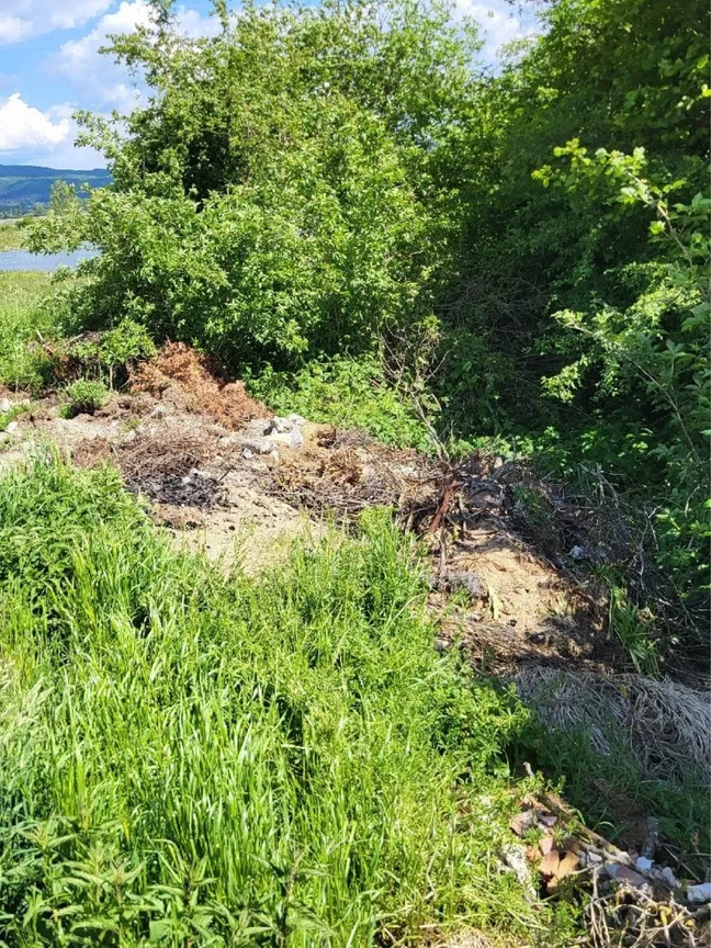 Nezakonito odložen gradbeni material na robu travnika ob grmovju. Fotografija prikazuje odlaganje odpadkov v naravnem okolju in njegov vpliv na krajino.