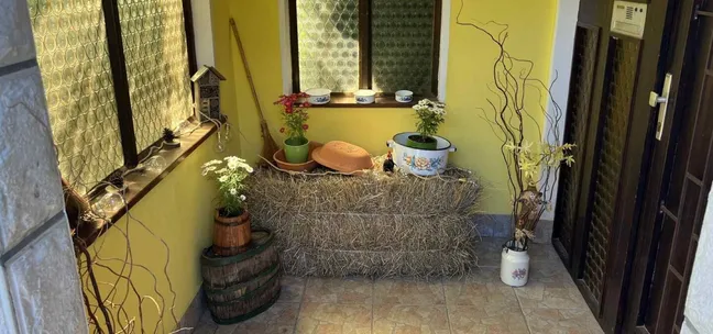 Green Garden Home-Dekorativni notranji kotiček z rumenimi stenami, lončnicami, vejami v vazah in balo sena – svetel prostor z rustikalnim pridihom ob vhodu ali oknu.