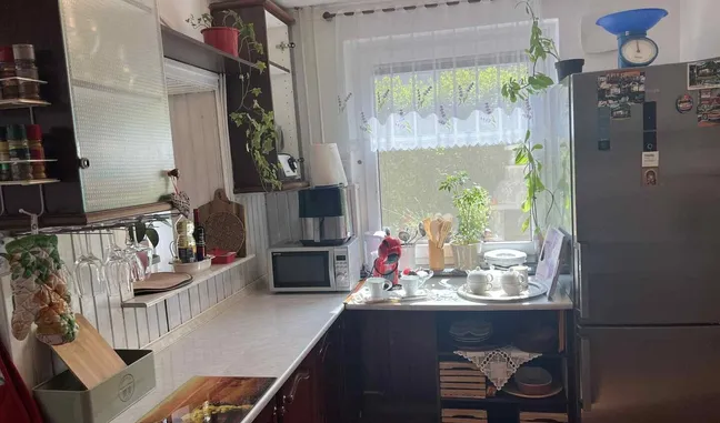 Green Garden Home-Urejena kuhinja z mikrovalovno pečico, posodo, visečimi omaricami in oknom z čipkastimi zavesami ter lončnicami.