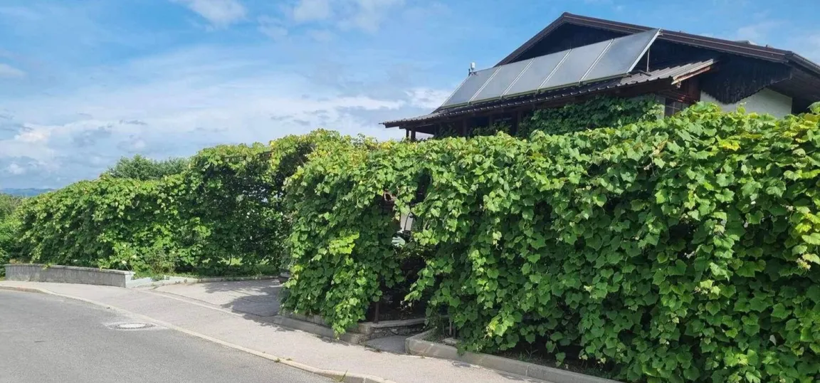 Green Garden Home-Hiša obdana z bujnim zelenjem in modrim nebom v ozadju.