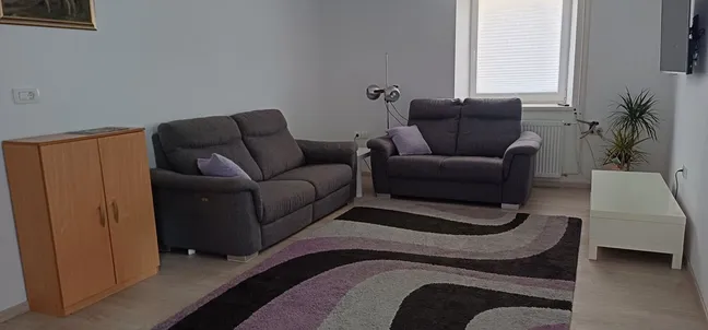 Layka flat-dnevna soba z dvema sivima kavčema, vijoličnimi blazinami, belo klubsko mizico in dekorativno preprogo – svetel prostor z velikim oknom in zeleno rastlino. Na steni tudi TV.