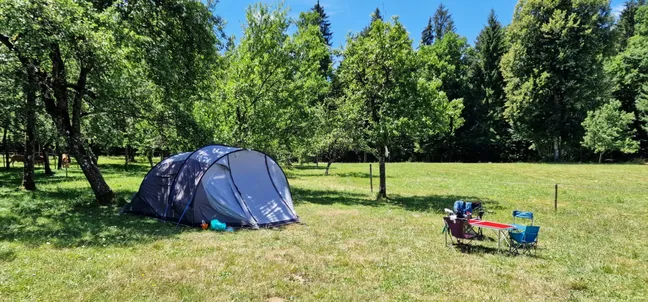 Kamp in PZA - Kmetija z nastanitvijo Tekavča ograda-Kamp na travniku ob gozdu. Na levi strani stoji modro-siv šotor, ob njem nekaj kamp opreme. Na desni strani je postavljena zložljiva miza z rdečo površino in štirimi zložljivimi stoli v modri barvi. V ozadju so drevesa in gozd, nebo je jasno modro, kar nakazuje na sončen dan.