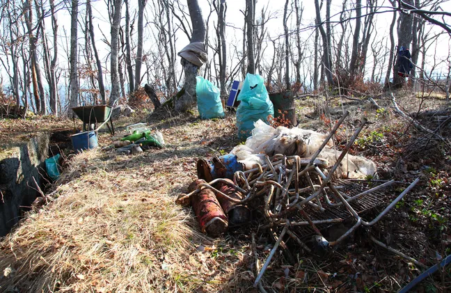 Illegally dumped waste in the forest: plastic bags, metal objects, old gas cylinders, and a wheelbarrow among bare trees in a forest clearing.