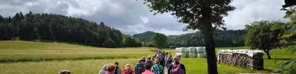 Group of hikers on the Kunaver Trail walking along a grassy path between fields and forests, with a tree and a woodpile on the side, and wooded hills rising in the background under a cloudy sky.