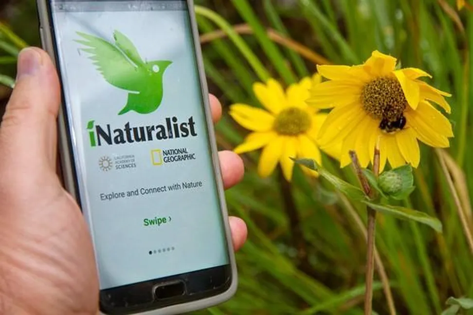 Aplikacija I Naturalist