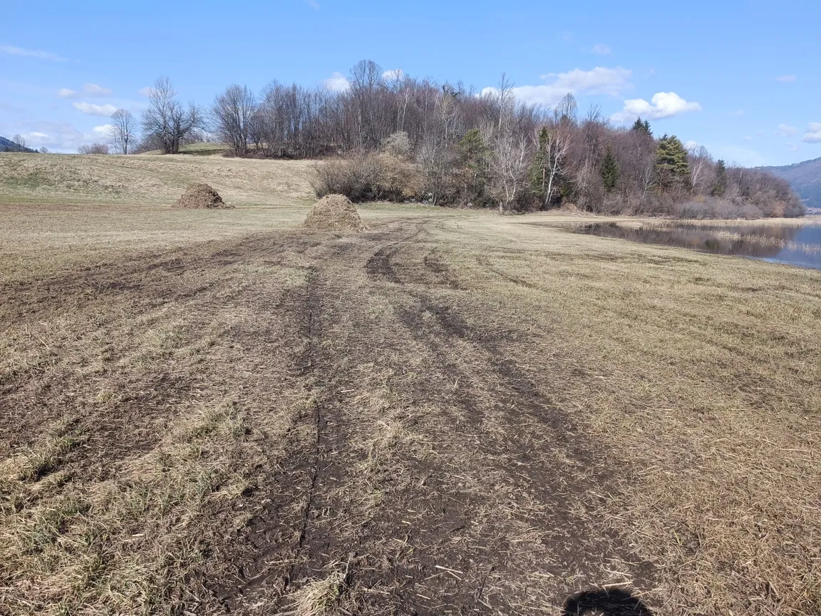 Pogled na travnik ob jezeru z več kupi pokošene trave, v ozadju rahlo vzpet teren z drevjem brez listja. Na tleh so vidne sledi traktorja ali druge kmetijske mehanizacije. Nebo je jasno z nekaj oblaki.