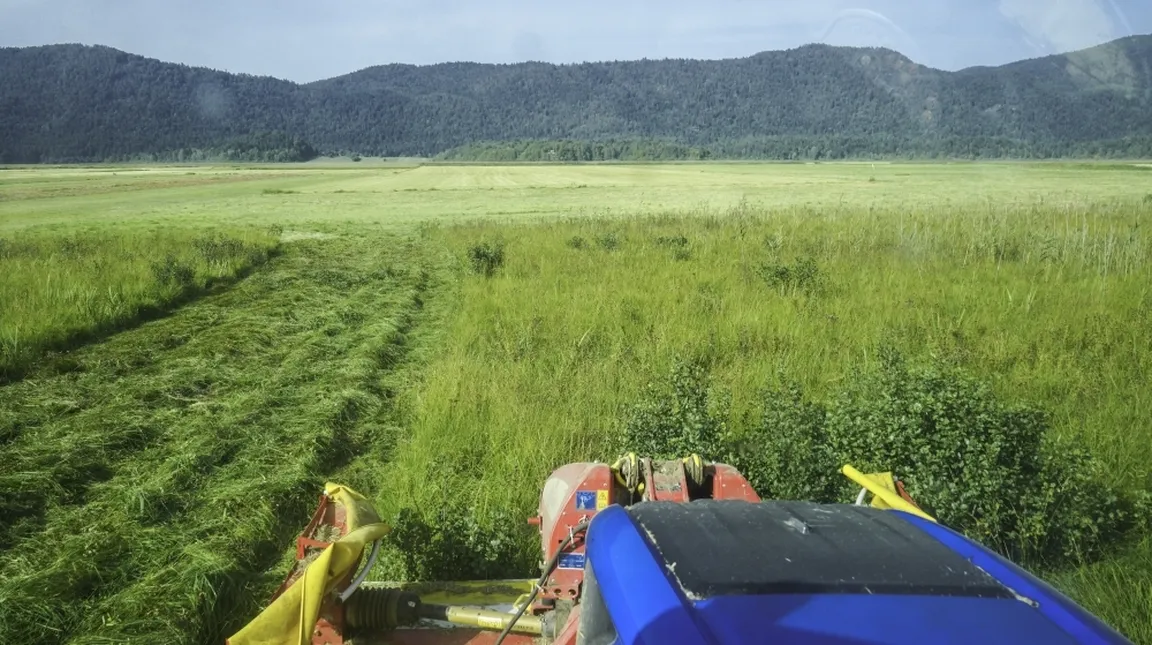 Fotografija je posneta iz modrega traktorja. Pred sabo vidimo njegov kljun in delno pokošen travnik. V ozadju se dvigajo Javorniki.