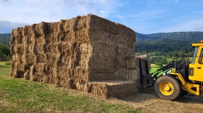 Velik kup bal sena, zložen v pravokotni obliki na travnatem polju. Ob njem stoji rumen traktor s čelno nakladalko, ki premika ali nalaga bale. V ozadju so griči, drevesa in delno oblačno nebo.