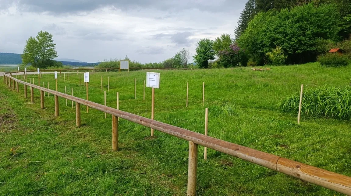 Travnik z leseno ograjo na levi strani in več tablami na lesenih kolih, postavljenimi po polju. V ozadju so drevesa in oblačno nebo.