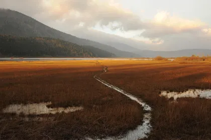 Cerkniško jezero kot nizko barje v jesenskih barvah.
