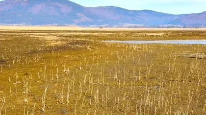 Suha, pusta pokrajina z redko vegetacijo. Na tleh so majhne zaplate vode, v ozadju pa se raztezajo oddaljene gore.