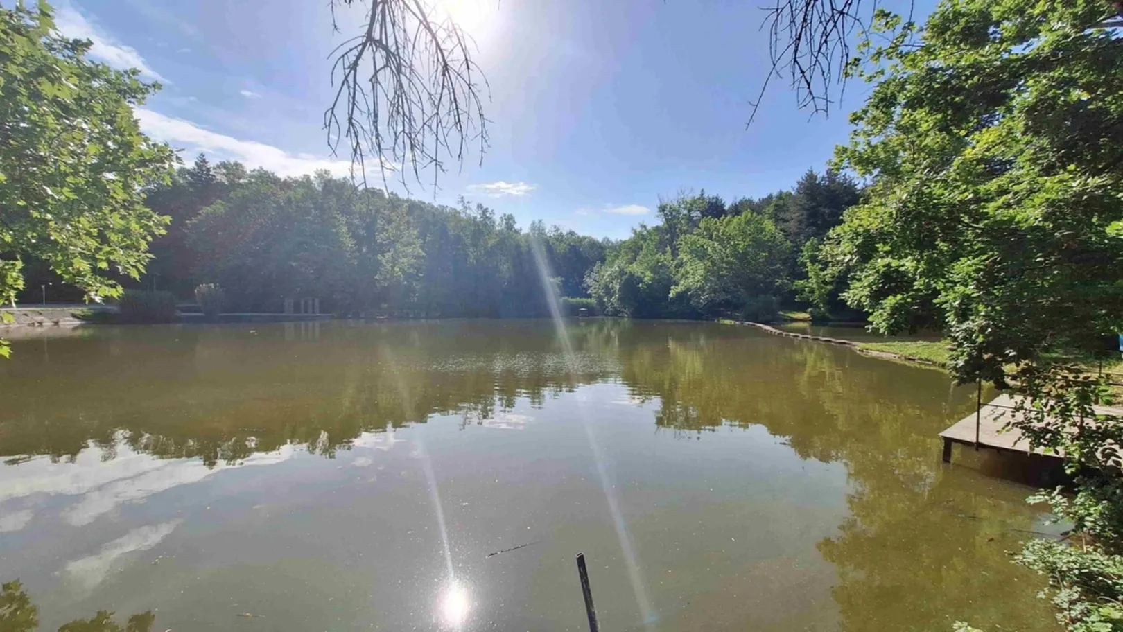 Mirno jezero obdano z drevesi, sonce sije in se odbija od vodne površine, na desni strani je majhen pomol.